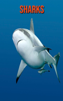 Sharks: Fun Facts & Cool Pictures