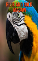 Blue and Gold Macaw