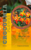 Crocosmia: Flower overview and Growing Tips