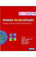 Human Herpesviruses