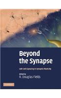 Beyond the Synapse