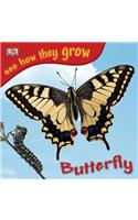 Butterfly with Sticker