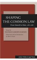 Shaping the Common Law