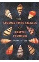 Liguus Tree Snails of South Florida