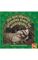 Por Qué Algunos Animales Viven En Madrigueras (Why Animals Live in Burrows)