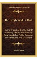 Greyhound in 1864