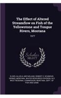 The Effect of Altered Streamflow on Fish of the Yellowstone and Tongue Rivers, Montana