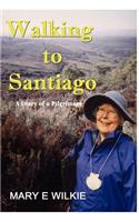 Walking to Santiago - Diary of a Pilgrimage