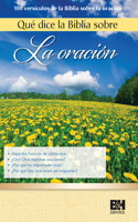 Qué Dice La Biblia Sobre La Oración