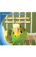 Playful Parakeets / Pericos Juguetones