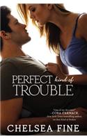Perfect Kind of Trouble