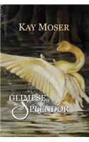 Glimpse of Splendor