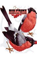 Big Print Address Book