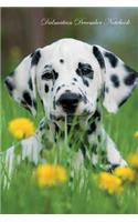 Dalmatian December Notebook Dalmatian Record, Log, Diary, Special Memories, To Do List, Academic Notepad, Scrapbook & More