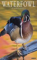 Waterfowl 2020 Wall Calendar