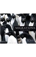 Migrations