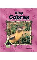 King Cobras