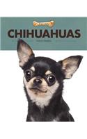 Chihuahuas
