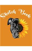 Sketch Book