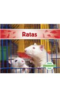 Ratas (Rats) (Spanish Version)