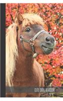 cute pony notebook