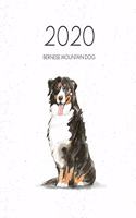 2020 Bernese Mountain Dog: Dated Weekly Planner With To Do Notes & Dog Quotes - Bernese Mountain Dog(4 Awesome Calendar Planners for Dog Owners)