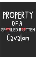 Property Of A Spoiled Rotten Cavalon