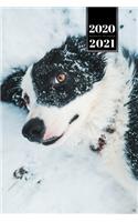 Border Collie Dog Calendar Week Planner 2020 / 2021 - Lying in the Snow: Pup Puppy Doggie Pet Owner Weekly Bullet Journal Notebook Diary in 6" x 9" Inch Pocket Size