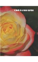 A Walk in a Rose Garden: A senior reader picture book for memory care / dementia care