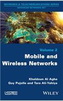 Mobile and Wireless Networks