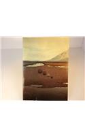 A Unpainted Landscape
