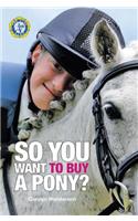 So You Want to Buy a Pony
