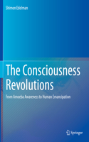 The Consciousness Revolutions