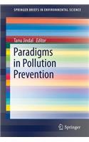 Paradigms in Pollution Prevention