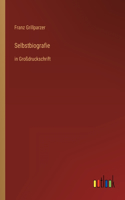 Selbstbiografie: in Großdruckschrift