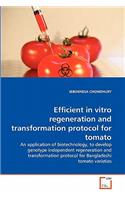 Efficient in vitro regeneration and transformation protocol for tomato