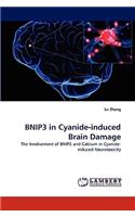 BNIP3 in Cyanide-induced Brain Damage