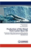 Production of Bio Diesel from Castor Bean Oil