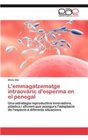 L'emmagatzematge intraovàric d'esperma en el penegal