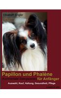 Papillon Und Phal Ne (Kontinentaler Zwergspaniel) Fur Anf Nger