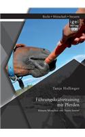Führungskräftetraining mit Pferden. Können Menschen von Tieren lernen?