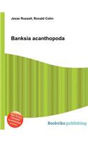 Banksia Acanthopoda: (English)