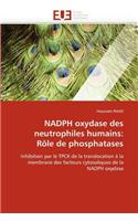 Nadph Oxydase Des Neutrophiles Humains