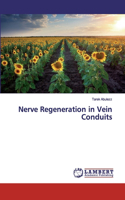 Nerve Regeneration in Vein Conduits