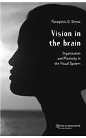 Vision in the Brain