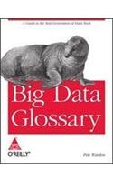 Big Data Glossary