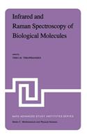 Infrared and Raman Spectroscopy of Biological Molecules