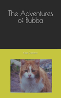 The Adventures of Bubba