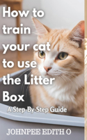 How to train your cat to use the litter box