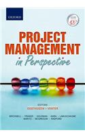 Project Management in Perspective